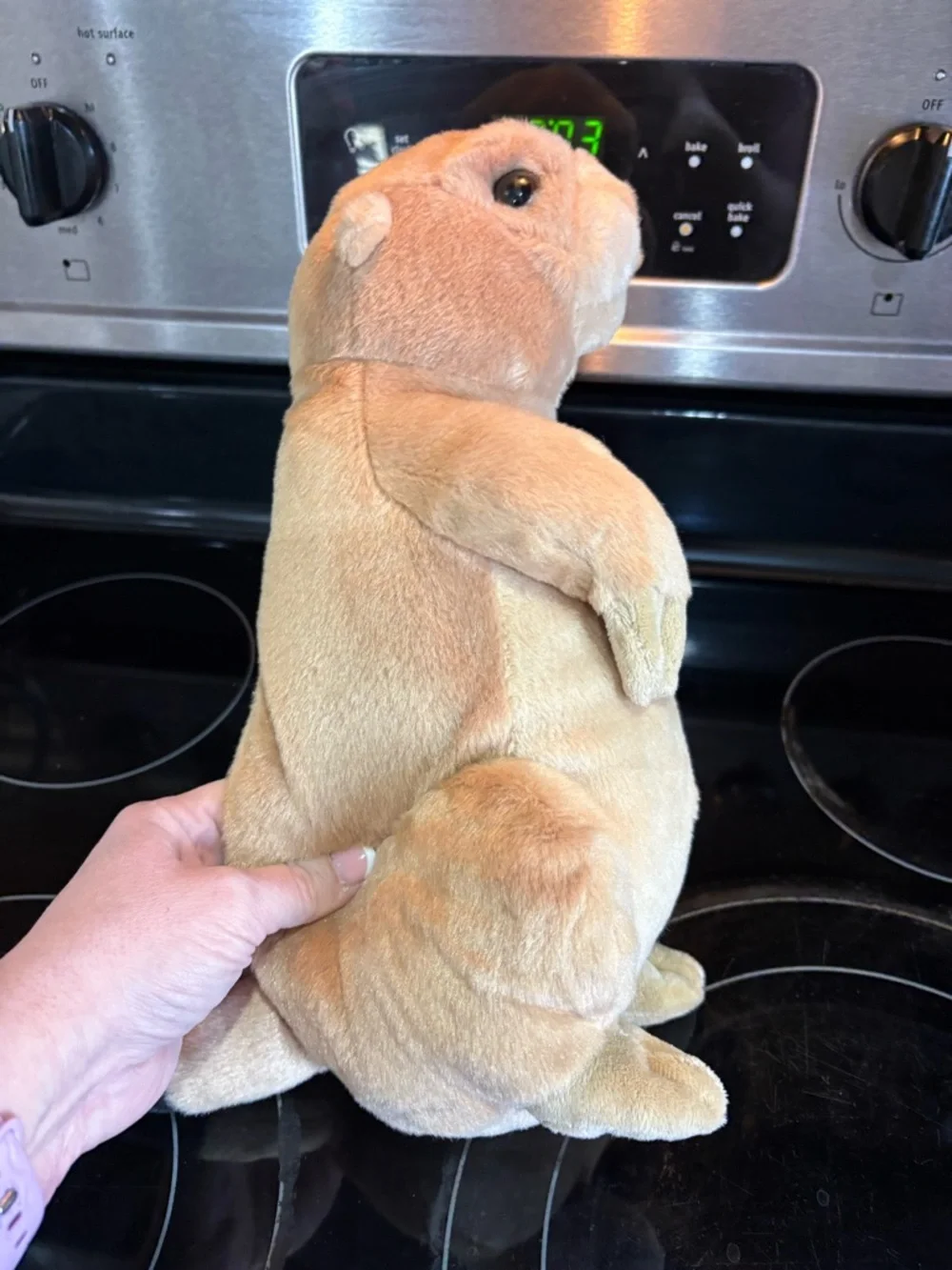 Plush Small Pet Toy - Cream Standing Plush Prairrie Dog